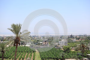 View of Jericho in the Judean Desert photo